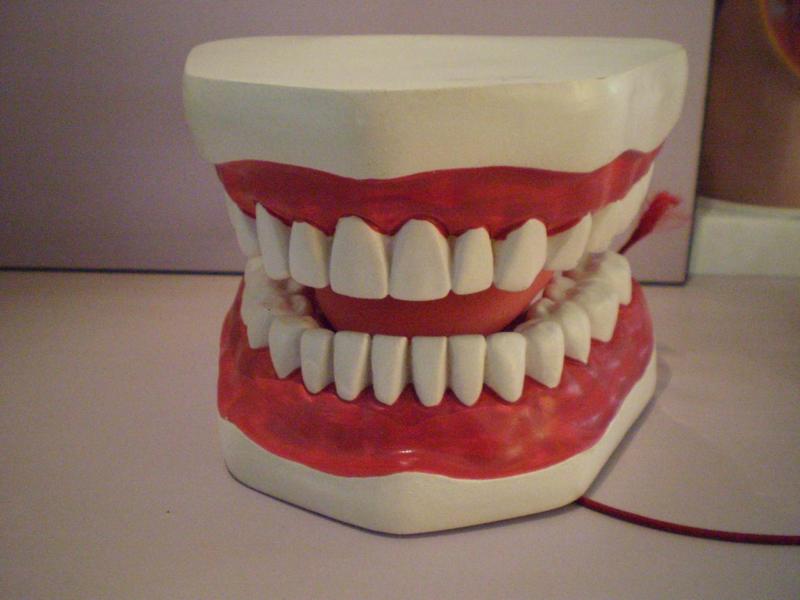 [新聞] 人的一生會失去多少牙齒？
